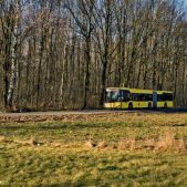 Solaris Urbino 18 #258