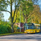 Solaris Urbino 18 #60
