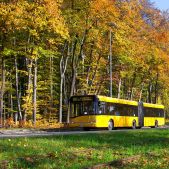 Solaris Urbino 18 #61