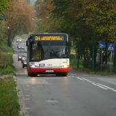 Solaris Urbino 15 #337