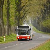 MAN NL252 #0814