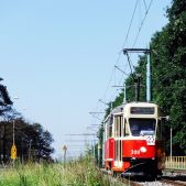 Konstal 13N #308