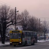 Jelcz 120M #375