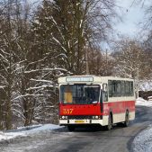 Jelcz M11 #317