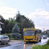 Jelcz PR110M #365