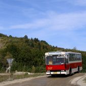 Jelcz M11 #317