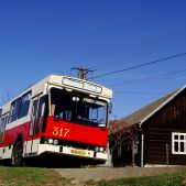 Jelcz M11 #317