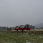 Jelcz M11 #317