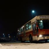 Jelcz M11 #317