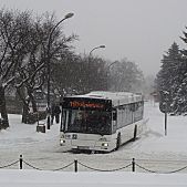 MAN NL263 #123