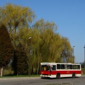 Jelcz M11 #317