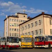 Jelcz M11 #317
