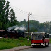 Jelcz M11 #317