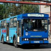 Jelcz M11 #317