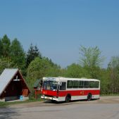 Jelcz M11 #317