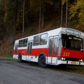 Jelcz M11 #317