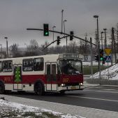 Jelcz M11 #317