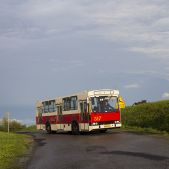 Jelcz M11 #317