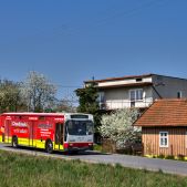 Jelcz 120M #379