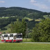 Jelcz 120M #372