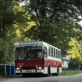 Jelcz M11 #317