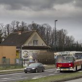 Jelcz M11 #317