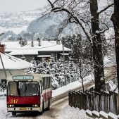 Jelcz M11 #317
