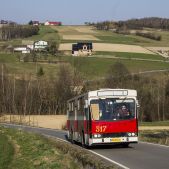 Jelcz M11 #317