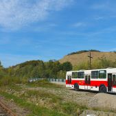 Jelcz M11 #317