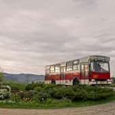 Jelcz M11 #317