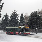 Solbus SM12 #257