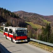 Jelcz M11 #317