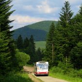 Jelcz 120M #372