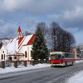 Jelcz M11 #317