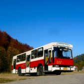Jelcz M11 #317