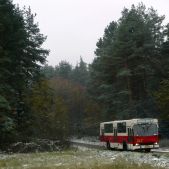 Jelcz M11 #317
