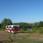 Jelcz M11 #317