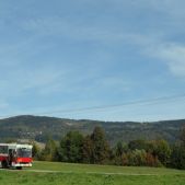 Jelcz M11 #317