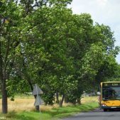 Mercedes O530 #2024