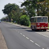 Ikarus 260.04 #BV01