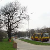 Ikarus 280.37C #1483