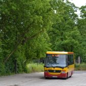 Jelcz M081MB #2628
