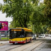 Solaris Urbino 12 #1174