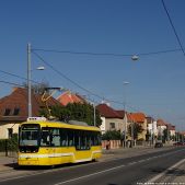 Vario LFR.S #341