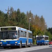 MAN SG242 #BM700