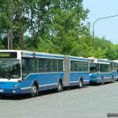 MAN SG242 #BM700