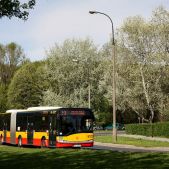 Solaris Urbino 18 #8579