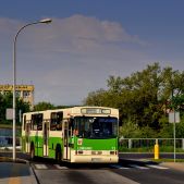 Jelcz PR110 #13