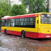 Jelcz M121I #4953