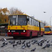 Ikarus 280.37 #5202